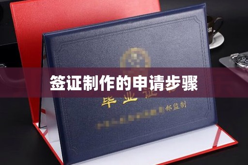 伊川签证制作的申请步骤