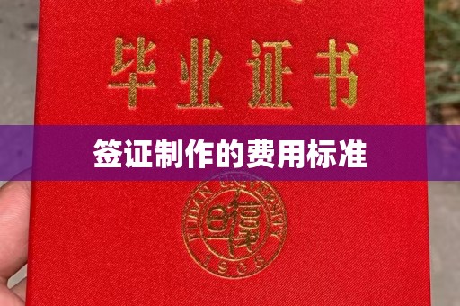 伊川签证制作的费用标准