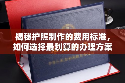 伊川揭秘护照制作的费用标准，如何选择最划算的办理方案？