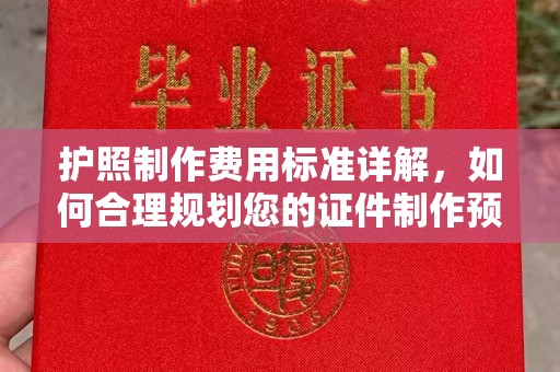 伊川护照制作费用标准详解，如何合理规划您的证件制作预算