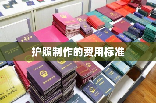 伊川护照制作的费用标准