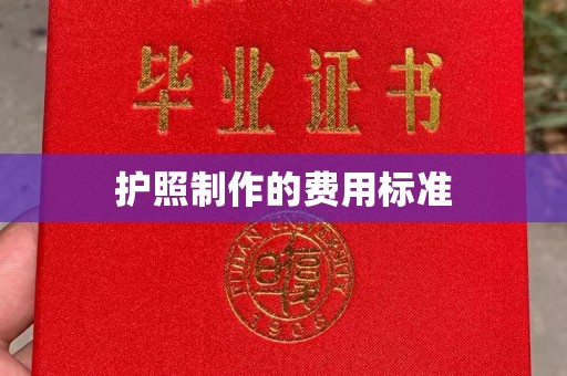 伊川护照制作的费用标准