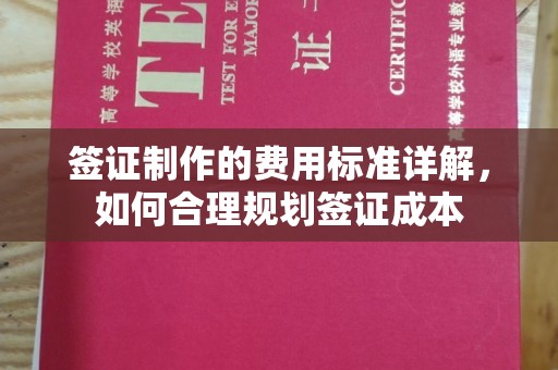 伊川签证制作的费用标准详解，如何合理规划签证成本