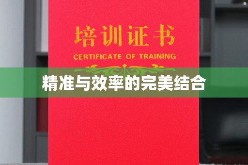 伊川精准与效率的完美结合